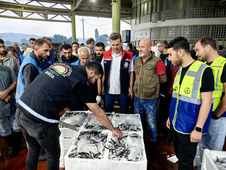 Bursa'da balık hali denetimleri sürüyor