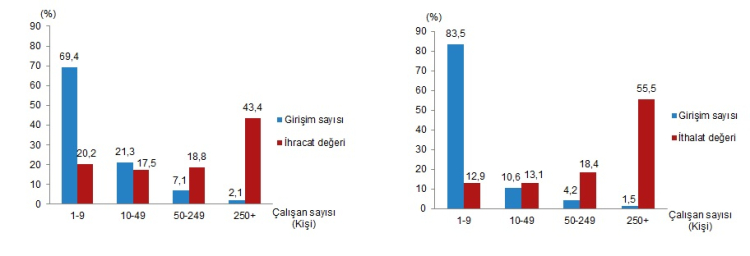 Büyük ölçekli girişimler ithalatta önde... İhracat ve ithalat büyük şirketlerin gölgesinde kaldı