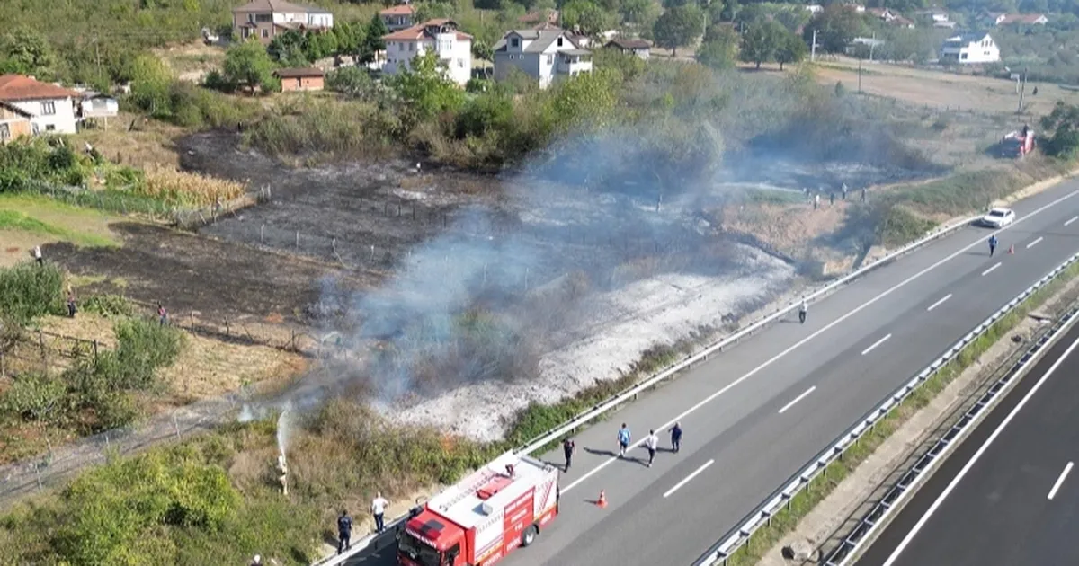 Düzce'de anız yangını! Fındık arazisi zarar gördü!