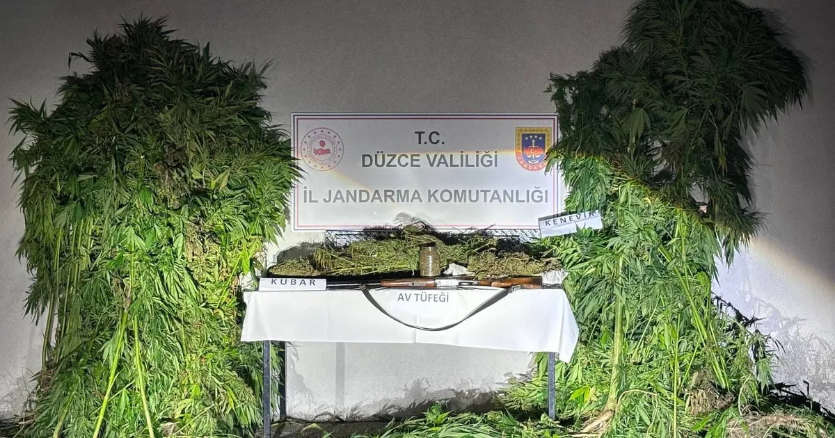 Düzce'de jandarma uyuşturucu operasyonu yaptı