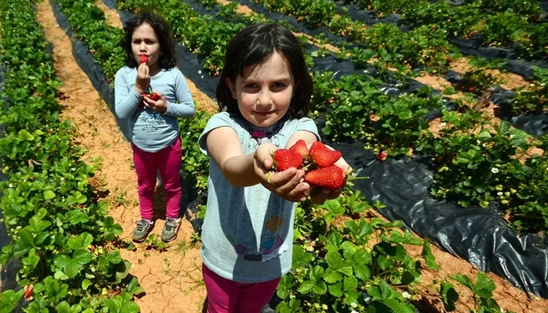 Konya Büyükşehir Belediye Başkanı