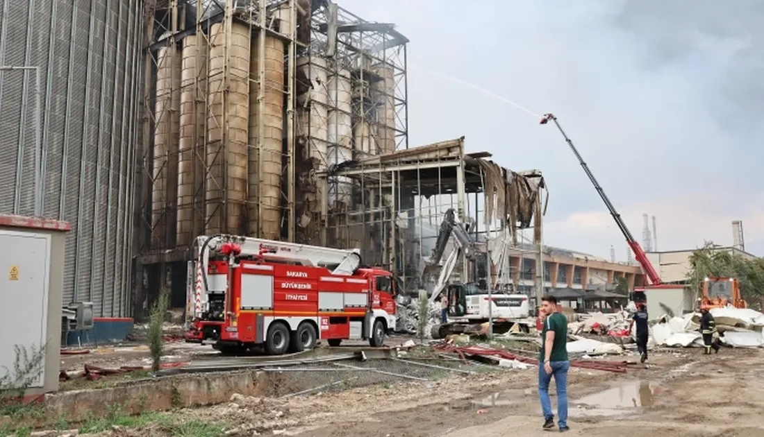 Sakarya'nın Hendek ilçesinde bir