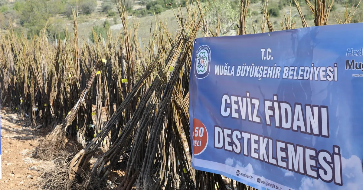 Muğla'da her kapıda bir fidan!