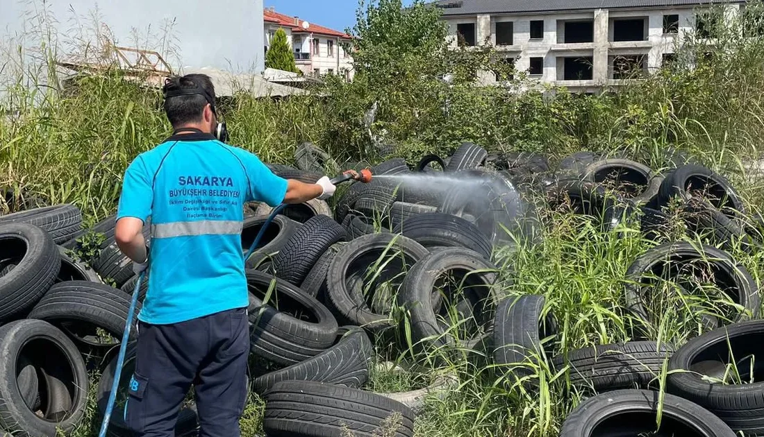 Sakarya Büyükşehir Belediyesi, vektörlerle