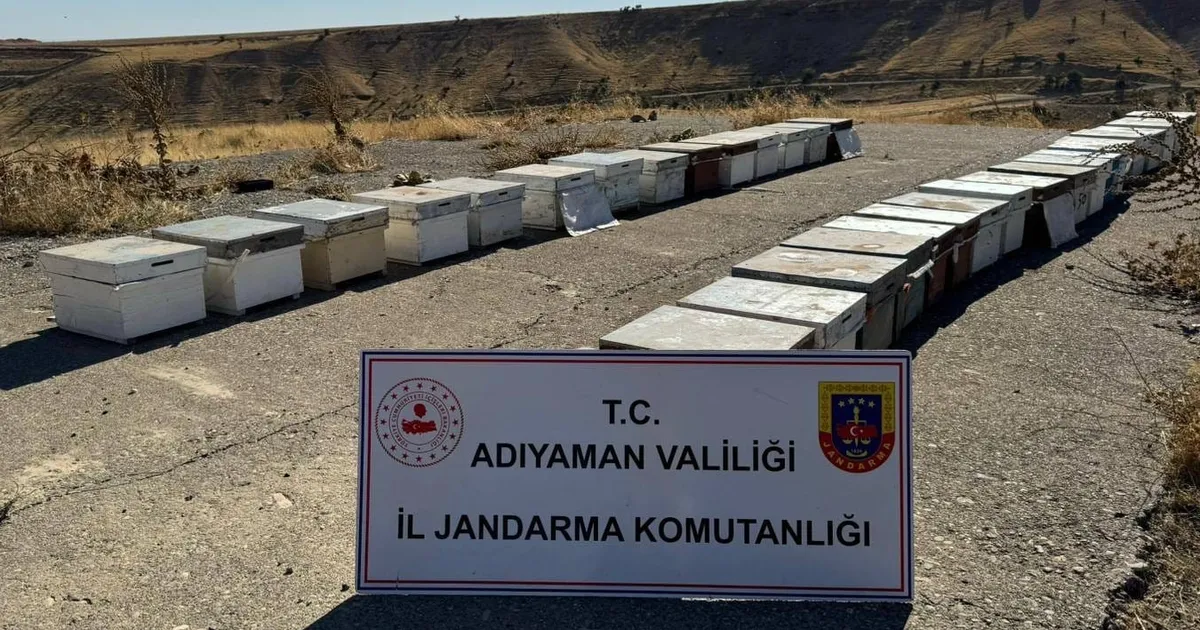 Adıyaman'da arı kovanlarını çalan şahıs yakalandı!