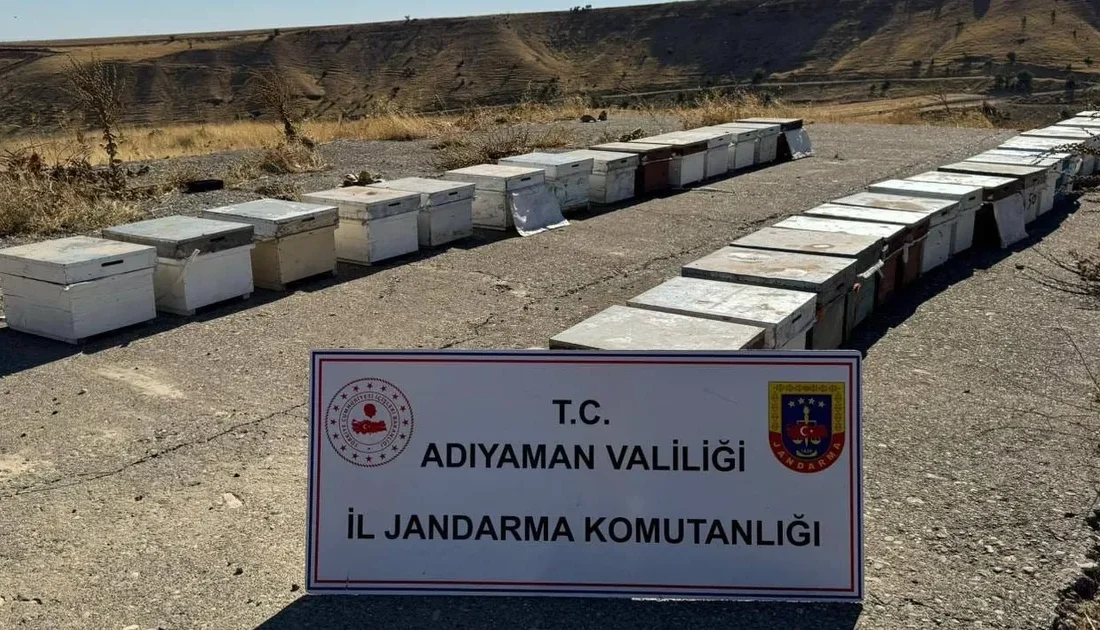 Adıyaman'da 35 adet arı