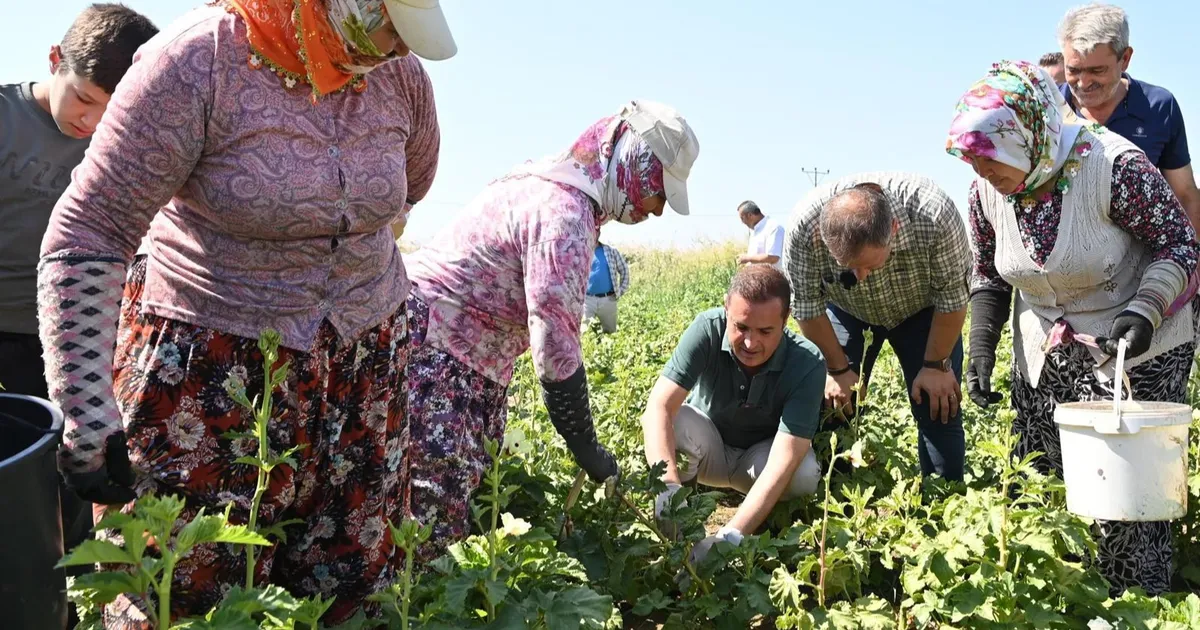 Balıkesir’de planlı kalkınma dönemi başladı