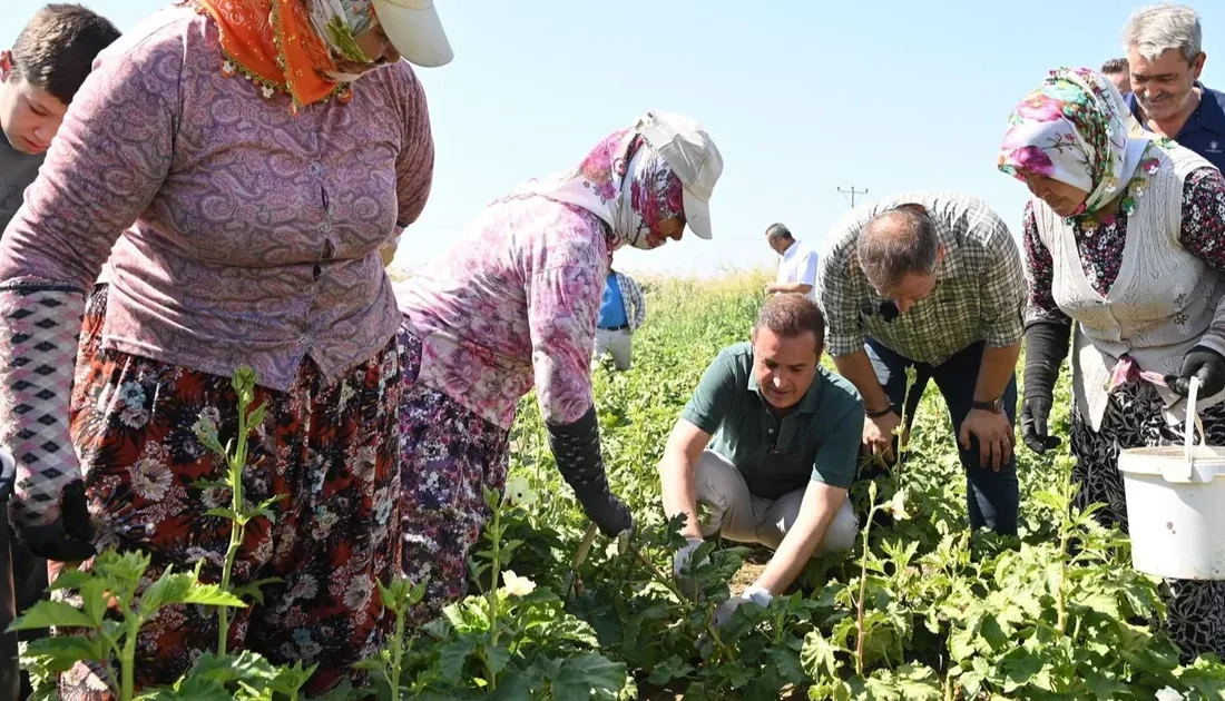 Balıkesir Büyükşehir Belediyesi Planlama