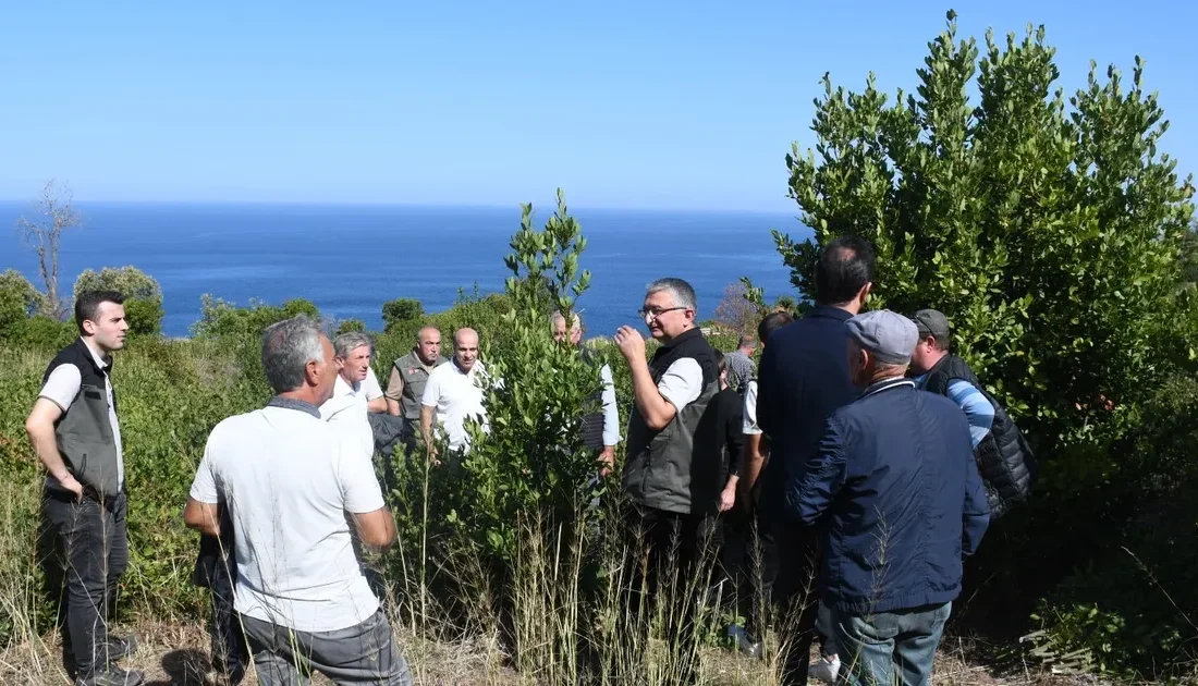 Bursa Mudanya'nın kırsal mahallelerinden