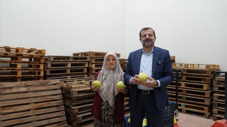 Hayriye teyze Gürsu Armudu ile girişimci oldu... Aracısız pazarlıyor