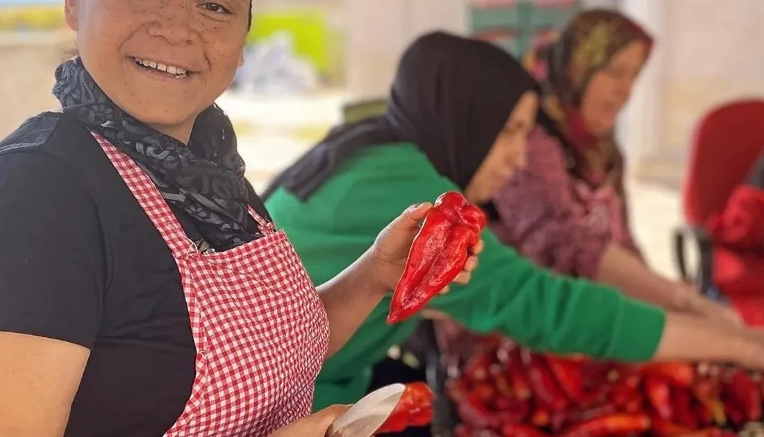 Birleşmiş Milletler tarafından Uluslararası