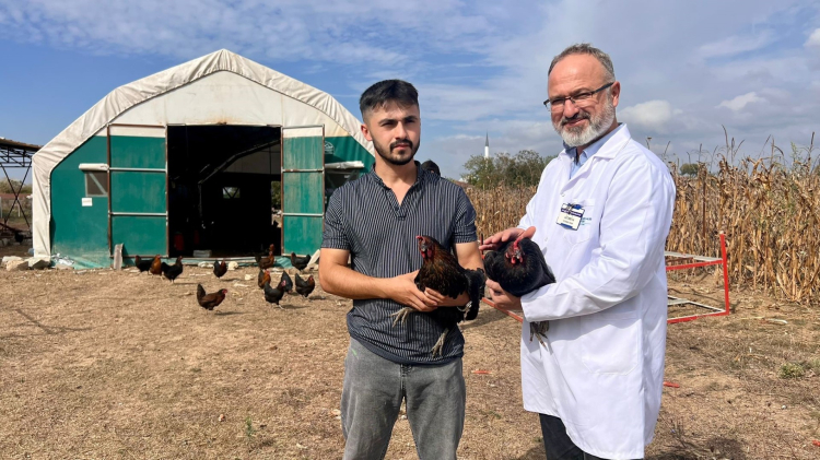 Kocaeli'de çiftçinin yüzü gülüyor