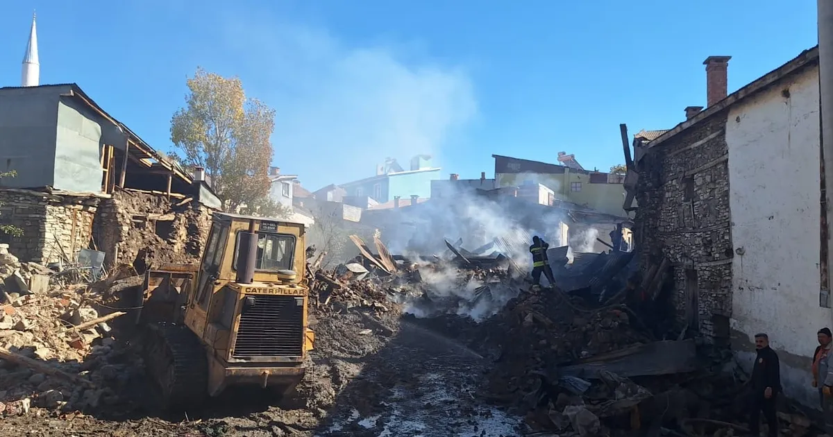 Konya Milletvekili Hakan Özer, Doğanbey'deki yangın bölgesinde