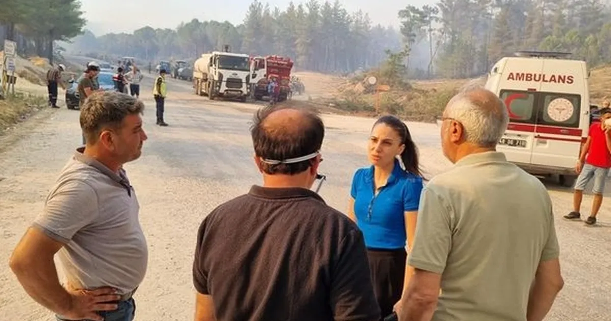 Muğla'daki yangınlar TBMM'ye taşındı... CHP'li milletvekili son 10 yılın hesabını sordu