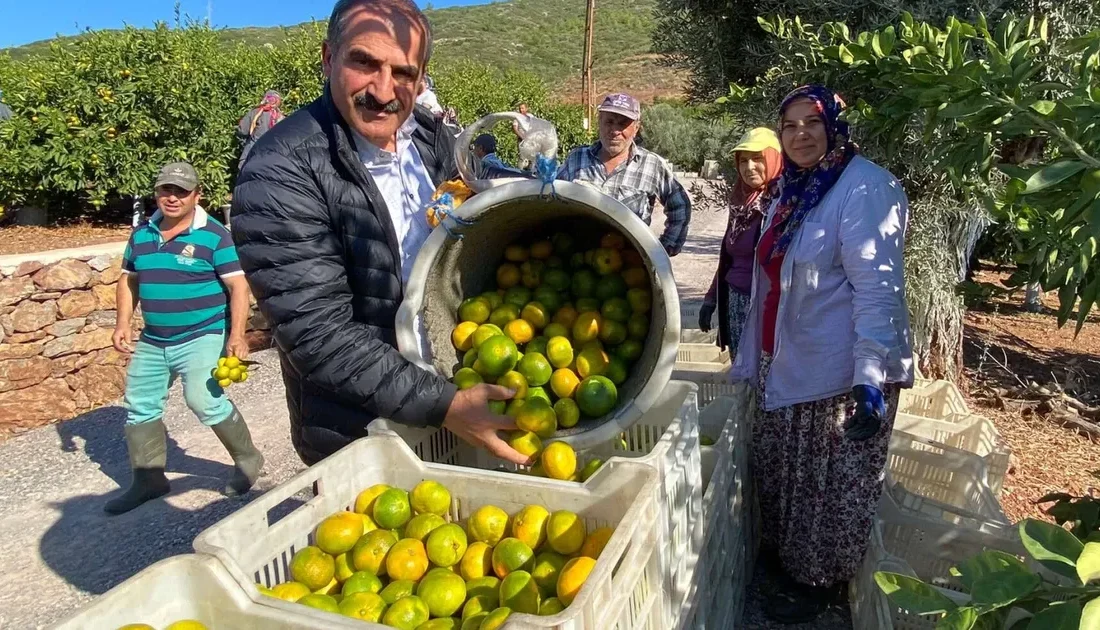 Sonbaharın habercisi, grip ve