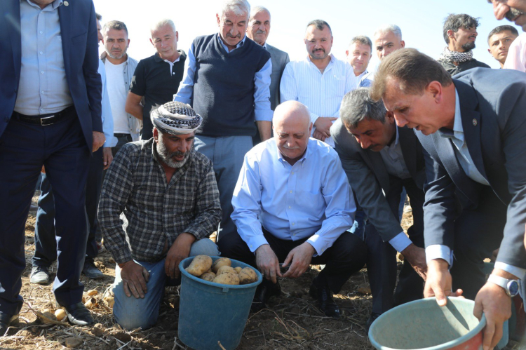 TZOB: Patates ve kuru soğana müdahale şart!