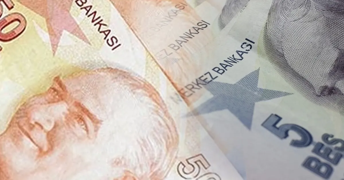 5 ve 50 TL'lik yeni banknotlar piyasada