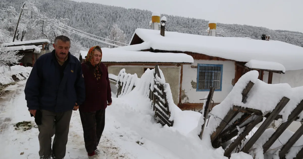 Artvin'de yollar bu kez kanser hastası için açıldı