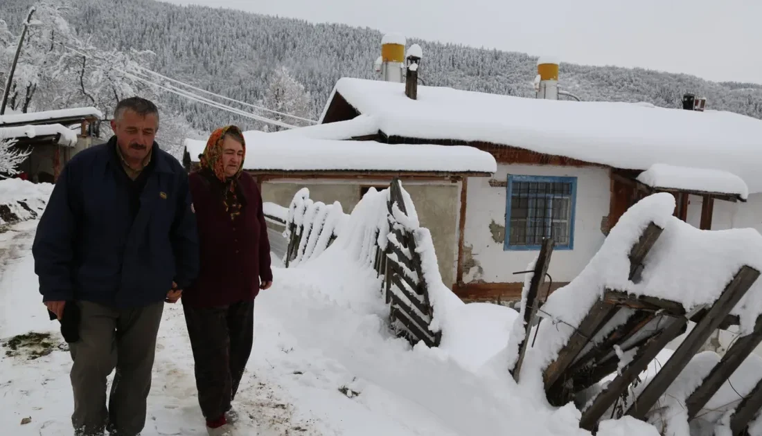 Artvin’in Ardanuç ilçesinde yoğun