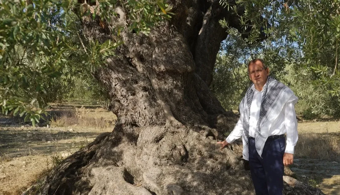 Avrupa Birliği tarafından tescillenmek