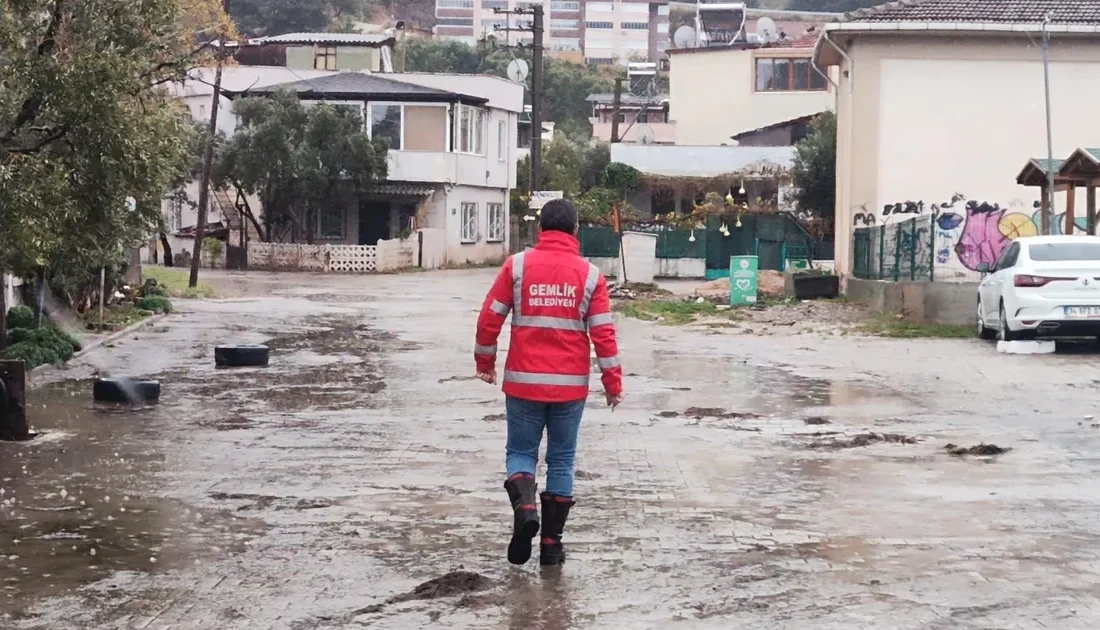 Bursa'nın Gemlik ilçesinde sabah