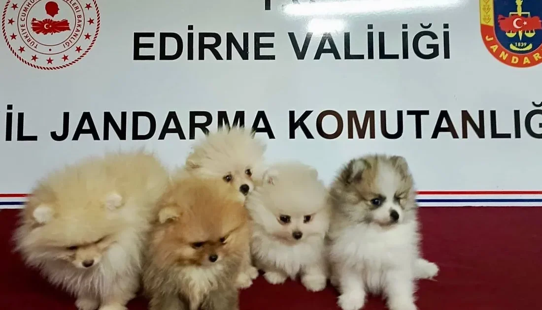 Edirne İl Jandarma Komutanlığı