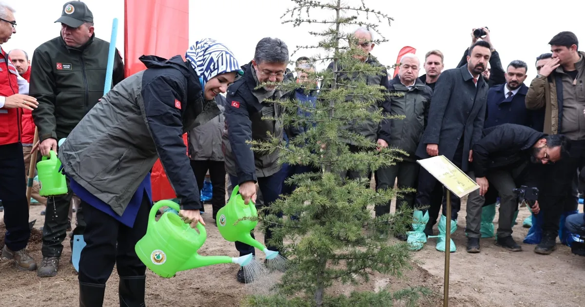 Geleceğe nefes fidanlar 'Gazze Hatıra Ormanı'nı yeşertecek