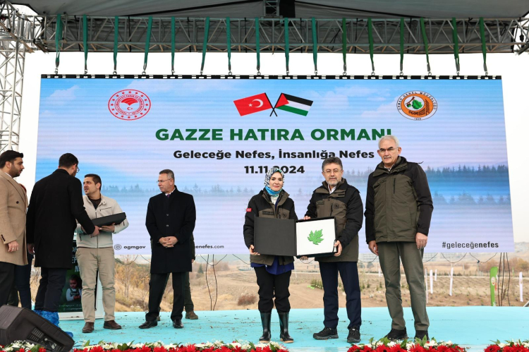 Geleceğe nefes fidanlar 'Gazze Hatıra Ormanı'nı yeşertecek