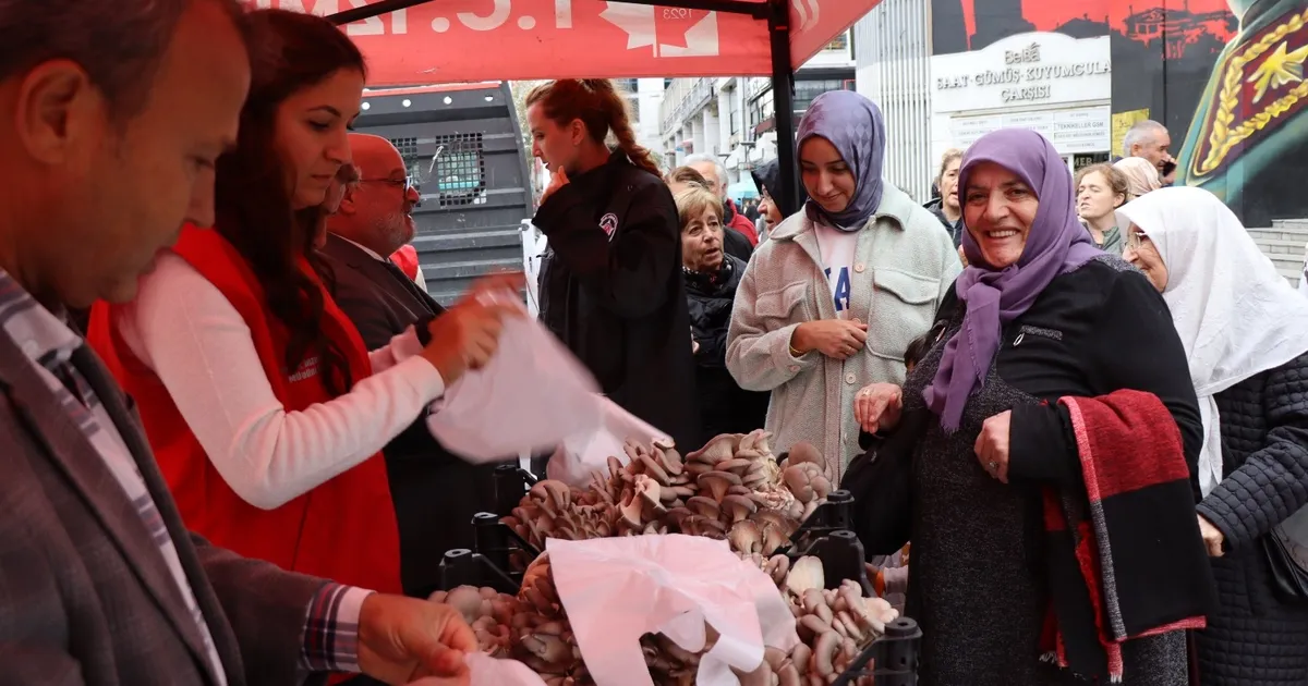 İzmit'te hasatın bereketi sürüyor... 850 kilo istiridye mantarı dağıtıldı