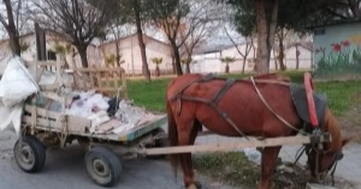 Keşan'da at arabası çalındı