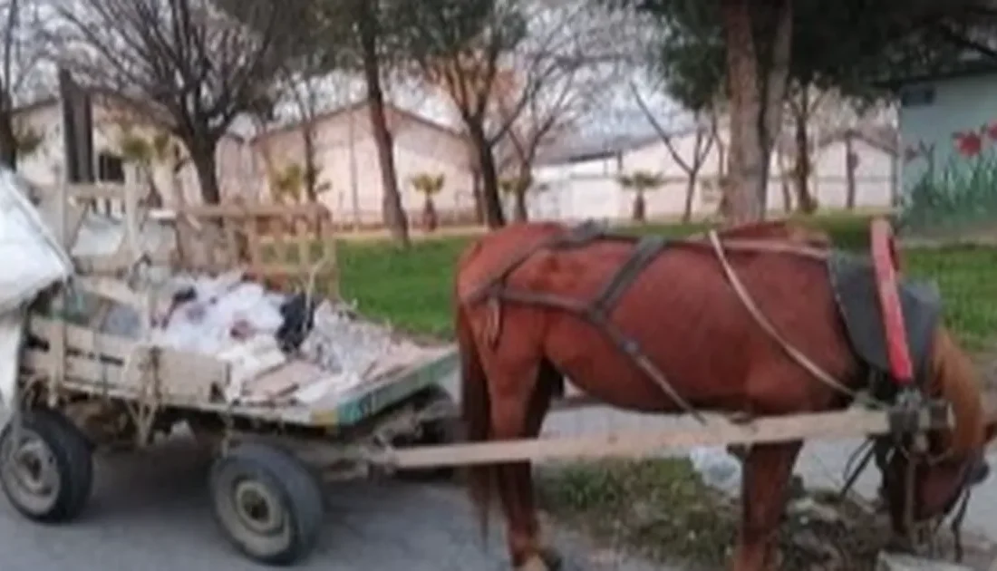 Keşan'da yaşanan ilginç bir