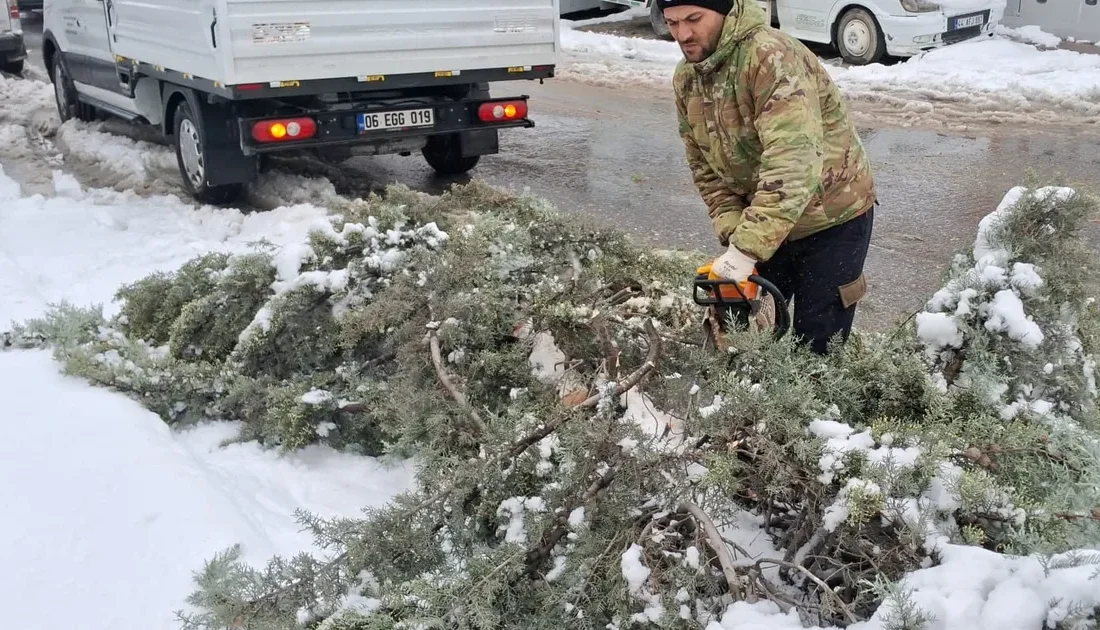 Malatya Büyükşehir Belediyesi kent