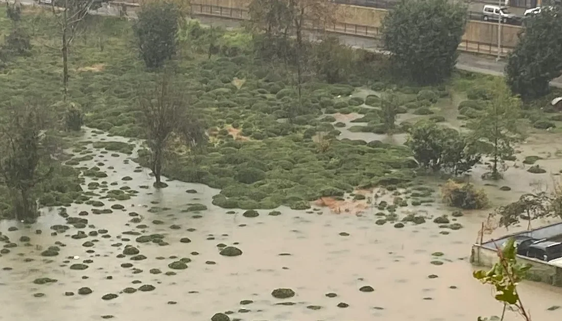 Rize'nin Çayeli ilçesinde meydana