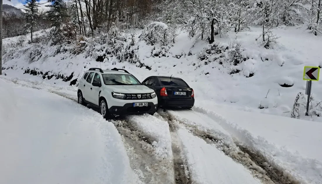 Sakarya Büyükşehir Belediyesi, yaklaşık