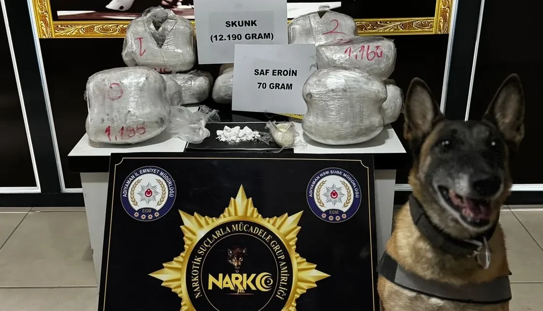 Adıyaman’da 12 kilogram Skunk