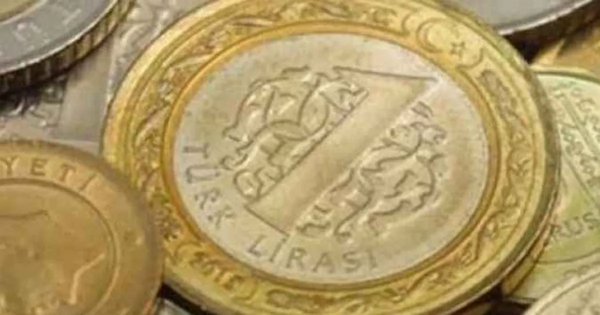 1 TL’nin maliyeti 3 lirayı geçti!
