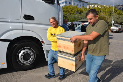 Antalya Büyükşehir'den bal üreticilerine arı kovanı