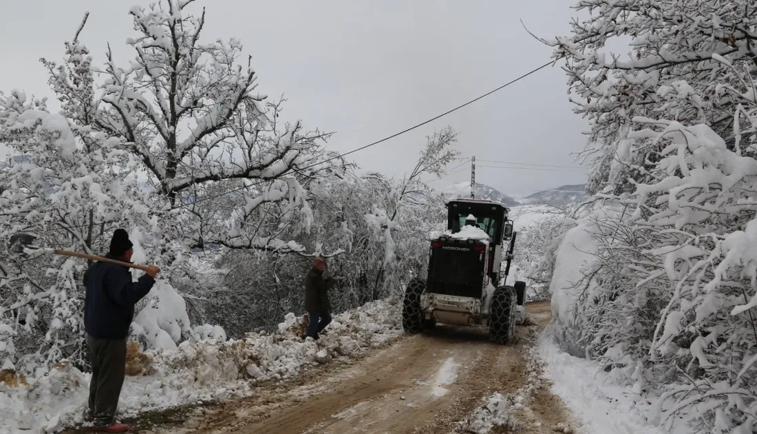 Artvin'de kar yağışı dolayısıyla