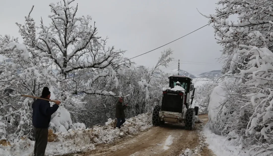 Artvin'de kar yağışı nedeniyle