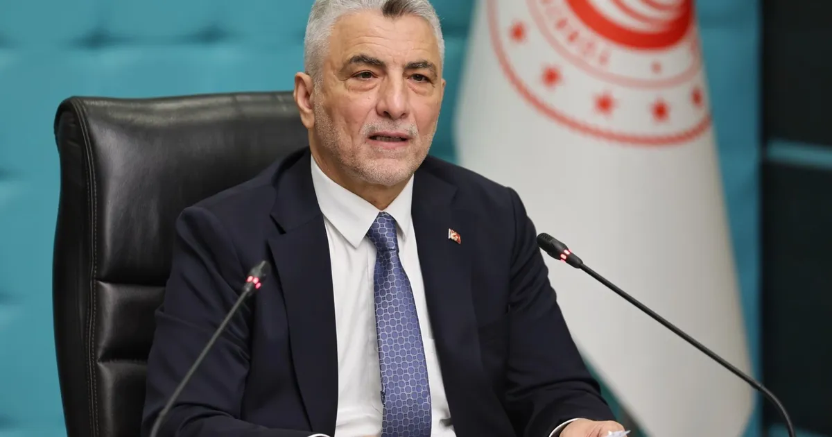 Bakan Bolat: Cari işlemler 10 ayda geriledi