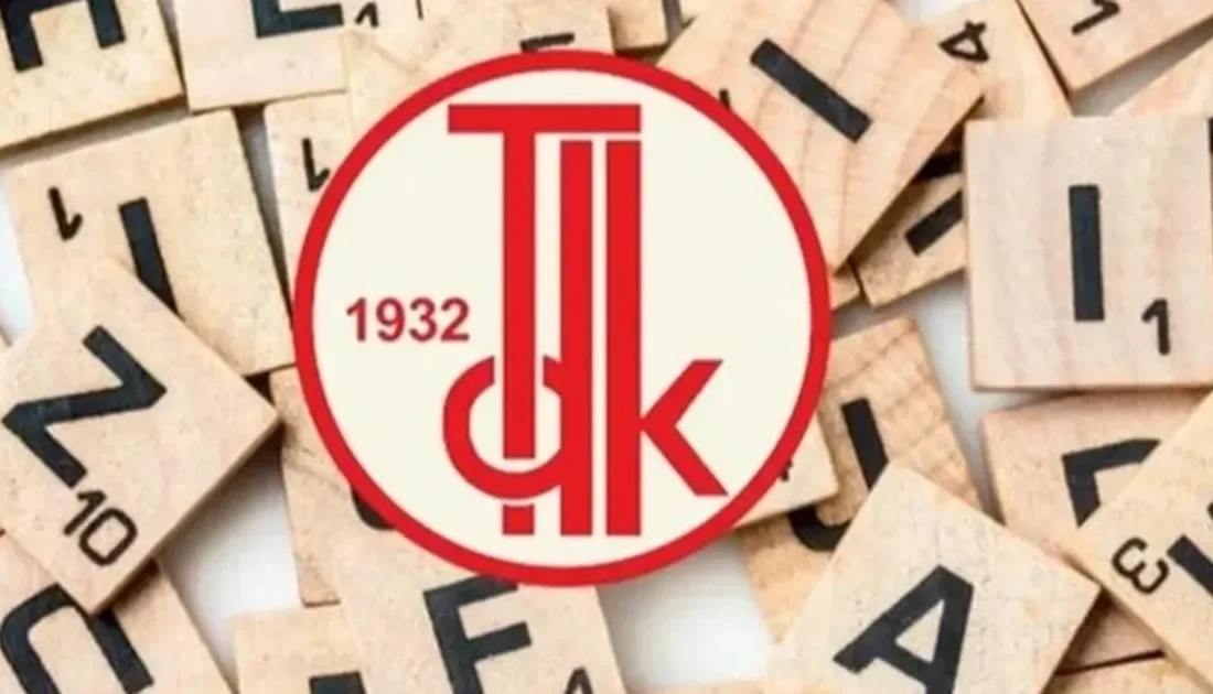 Türk Dil Kurumu 2024
