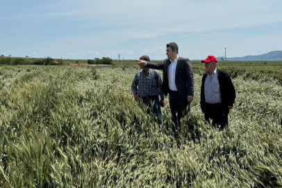 CHP Keşan’dan 6 aydır ödenmeyen buğday desteklemelerine tepki