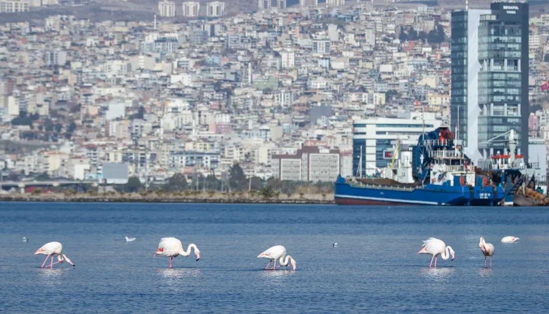 İzmir Büyükşehir Belediye Başkanı