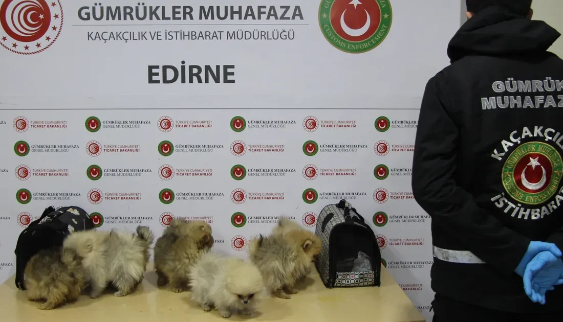 Edirne Kapıkule Gümrük sahasında,