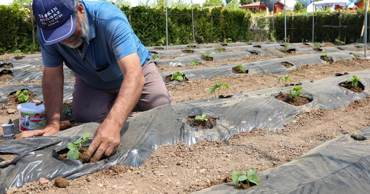 Konya’da başvurular 15 Ocak'ta başlıyor