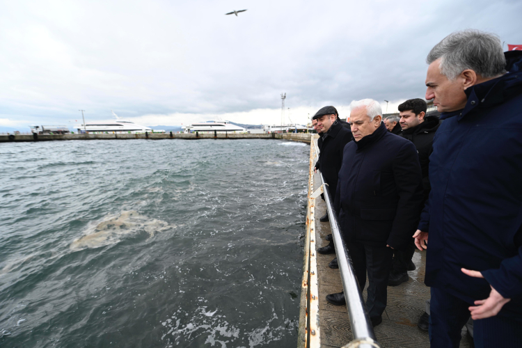 Marmara'daki müsilaj tehdidi Gemlik Körfezi'nden incelendi