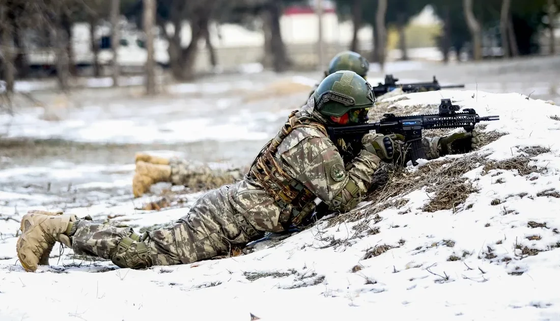 Türk Silahlı Kuvvetleri unsurları