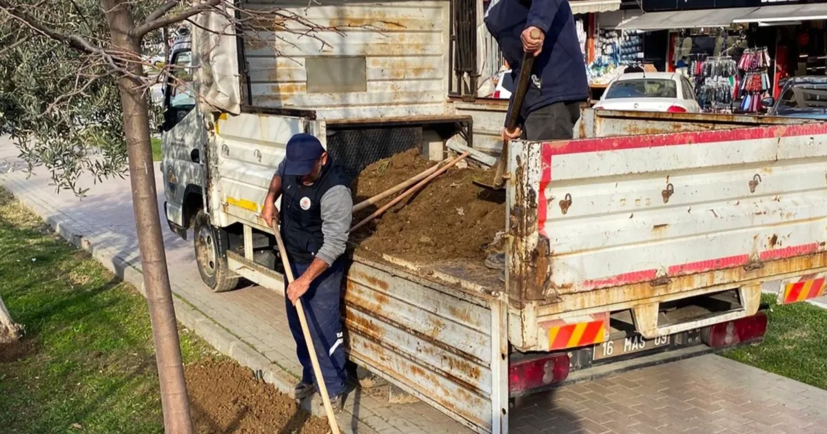 Bursa Gemlik'te çevre düzenleme çalışmaları devam ediyor