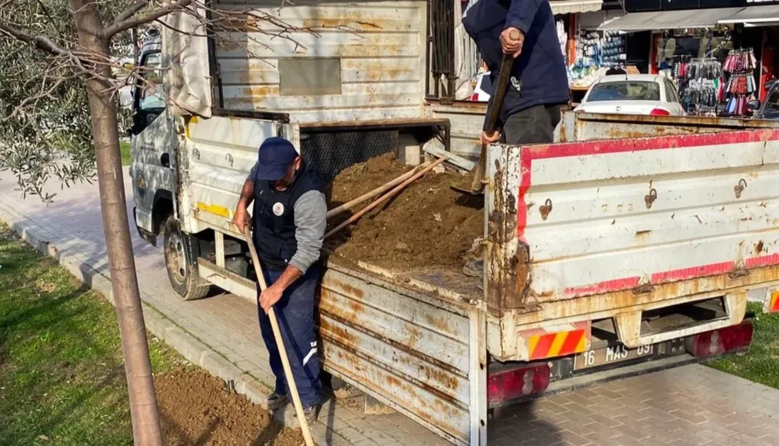 Bursa Gemlik Belediyesi Fen