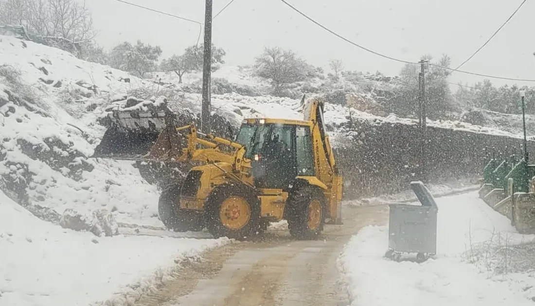 Bursa'nın Mudanya ilçesinde özellikle